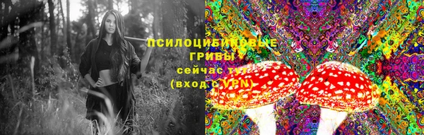 шишки Вязники